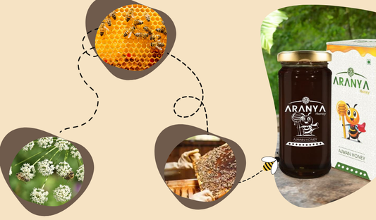 The Journey Of Ajwain Flower To Ajwain Honey