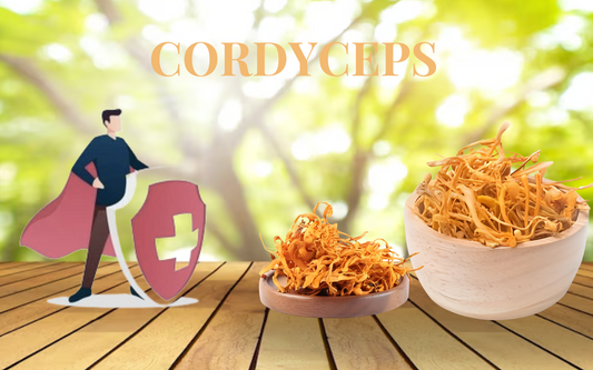 Boost Your Immunity Naturally With Cordyceps