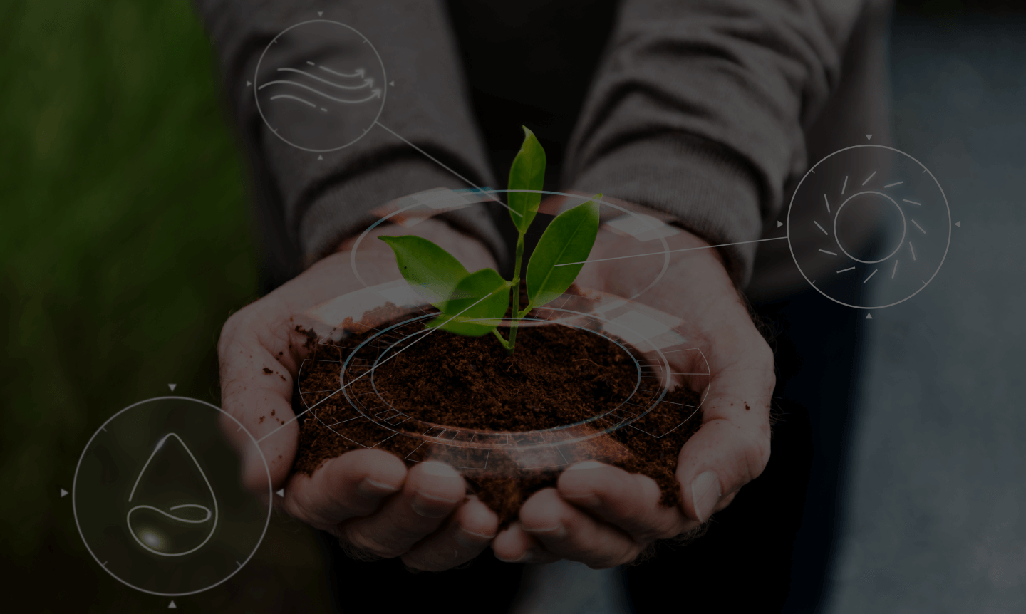 smart agriculture iot with hand planting tree